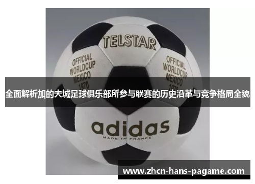 全面解析加的夫城足球俱乐部所参与联赛的历史沿革与竞争格局全貌