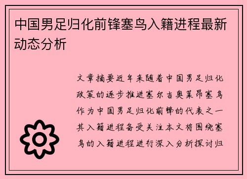 中国男足归化前锋塞鸟入籍进程最新动态分析